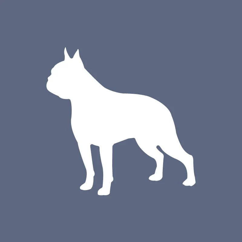 Boston Terrier - Beanie - Image 2