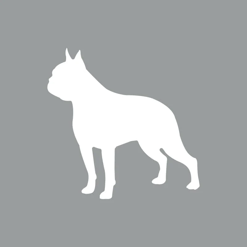Boston Terrier - Beanie - Image 6