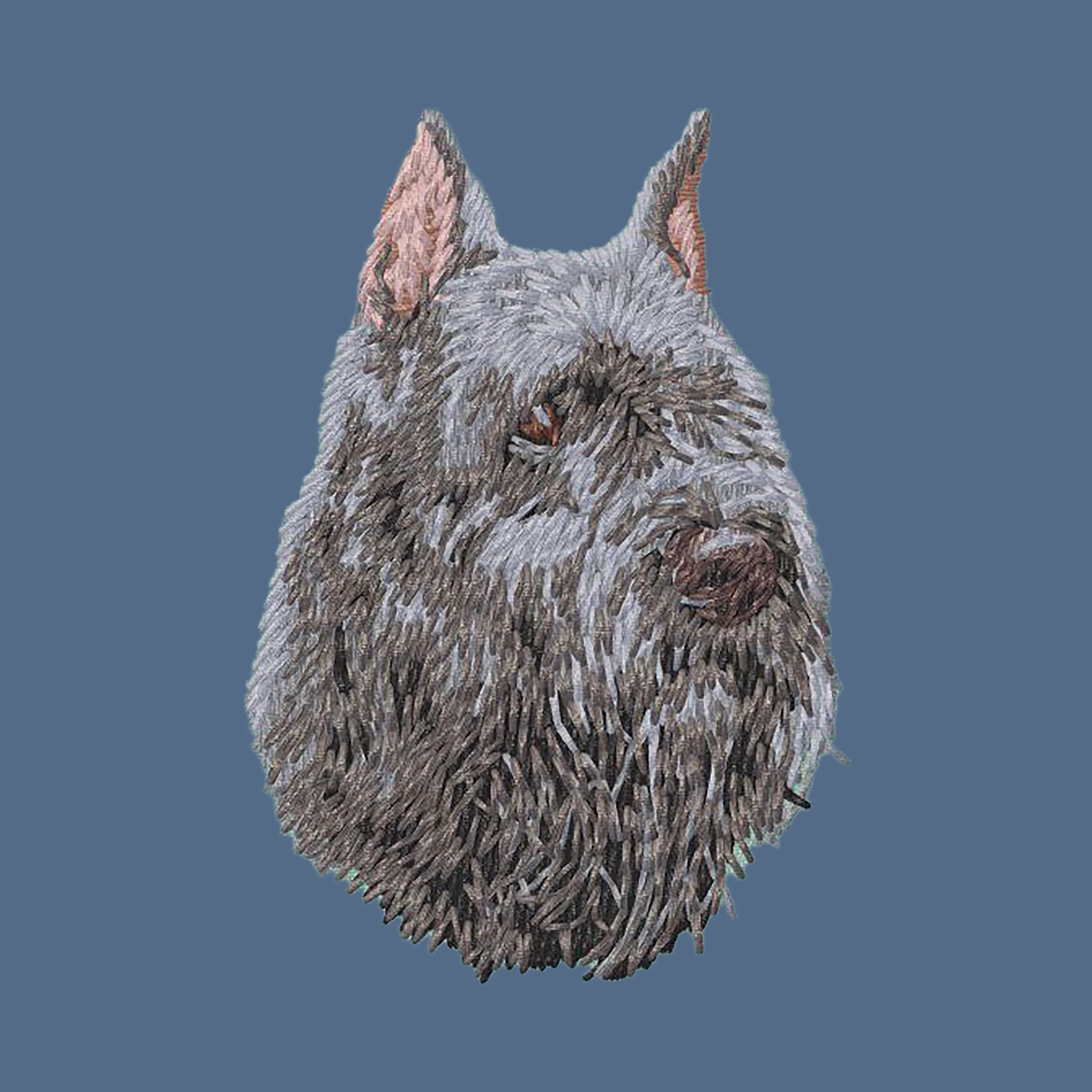 Bouvier des Flandres Embroidered Women's Denim Shirt - Image 2