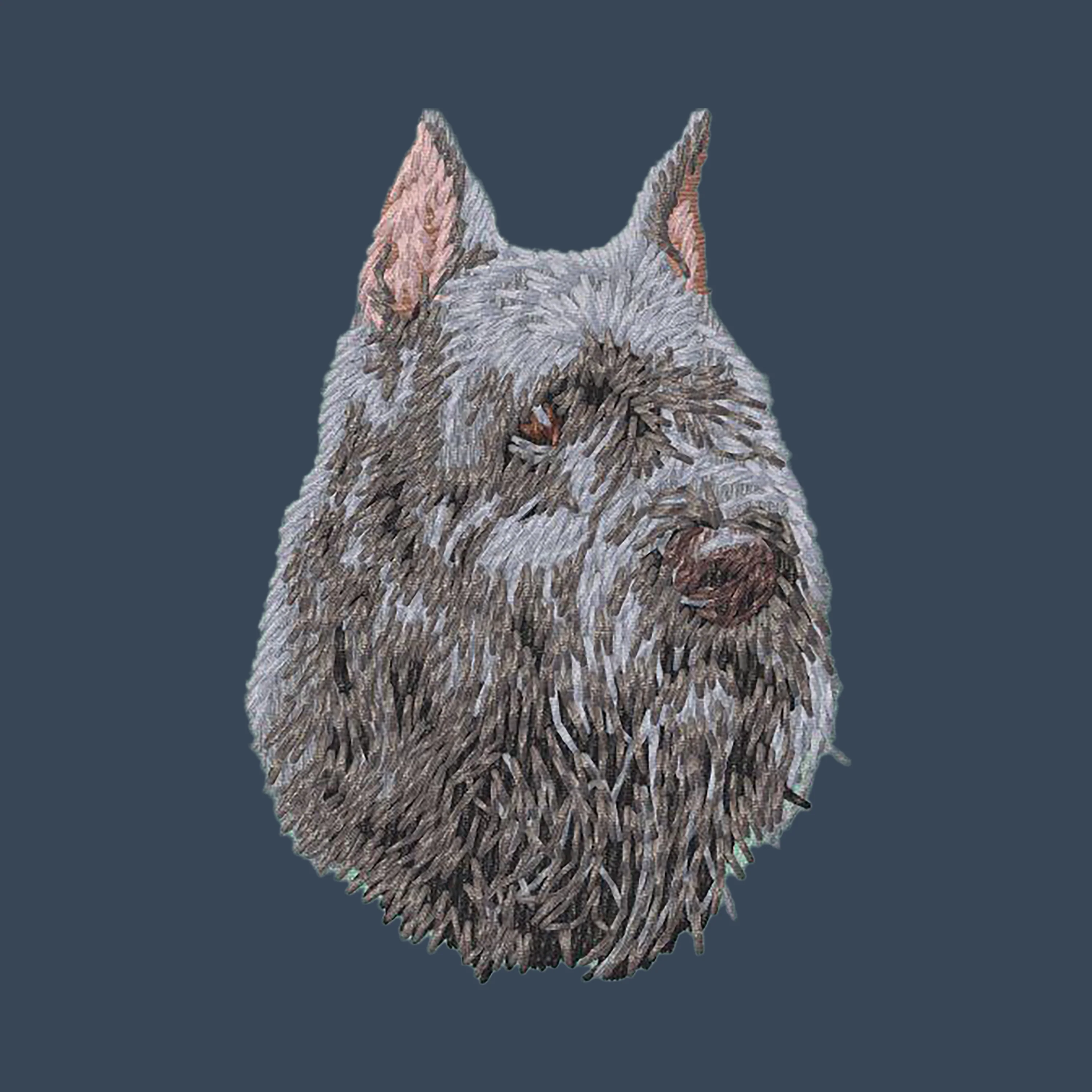 Bouvier des Flandres Embroidered Women's Denim Shirt - Image 4