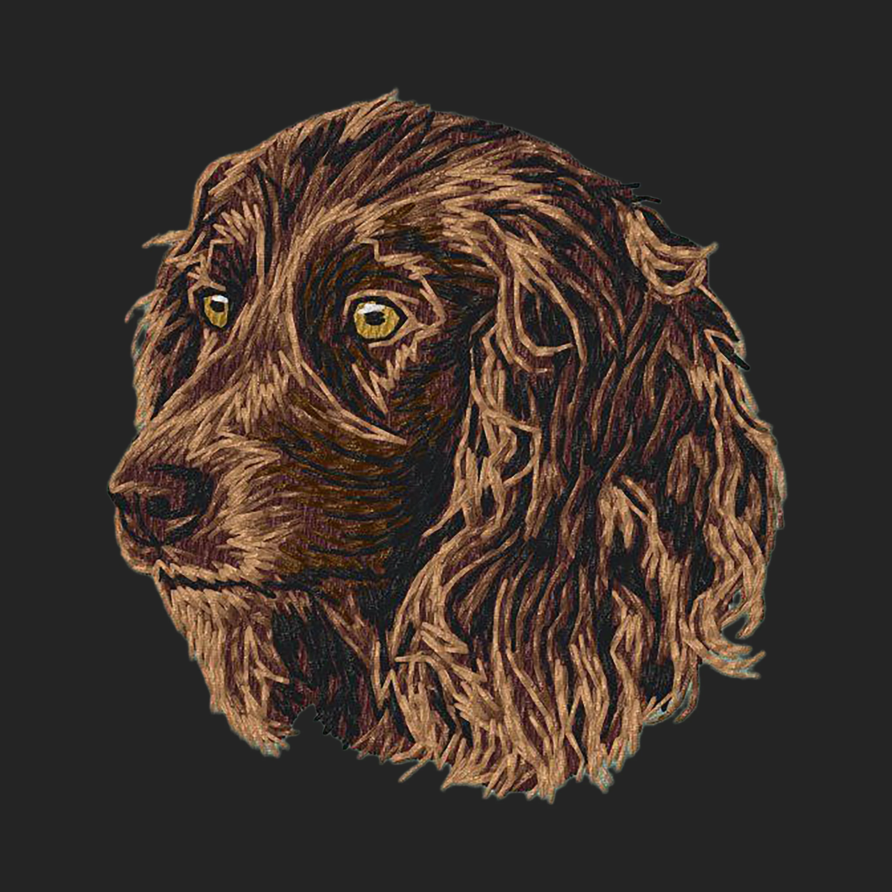 Boykin Spaniel Embroidered Sweatshirt Hoodie - Image 2