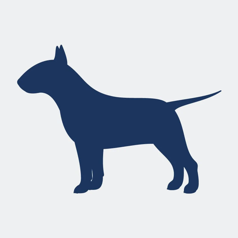 Bull Terrier  Embroidered AKC Women's Polo - Image 8