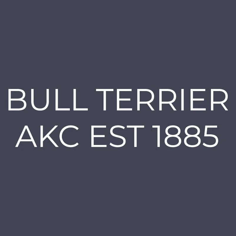 Bull Terrier Embroidered AKC Quarter Zip - Image 11