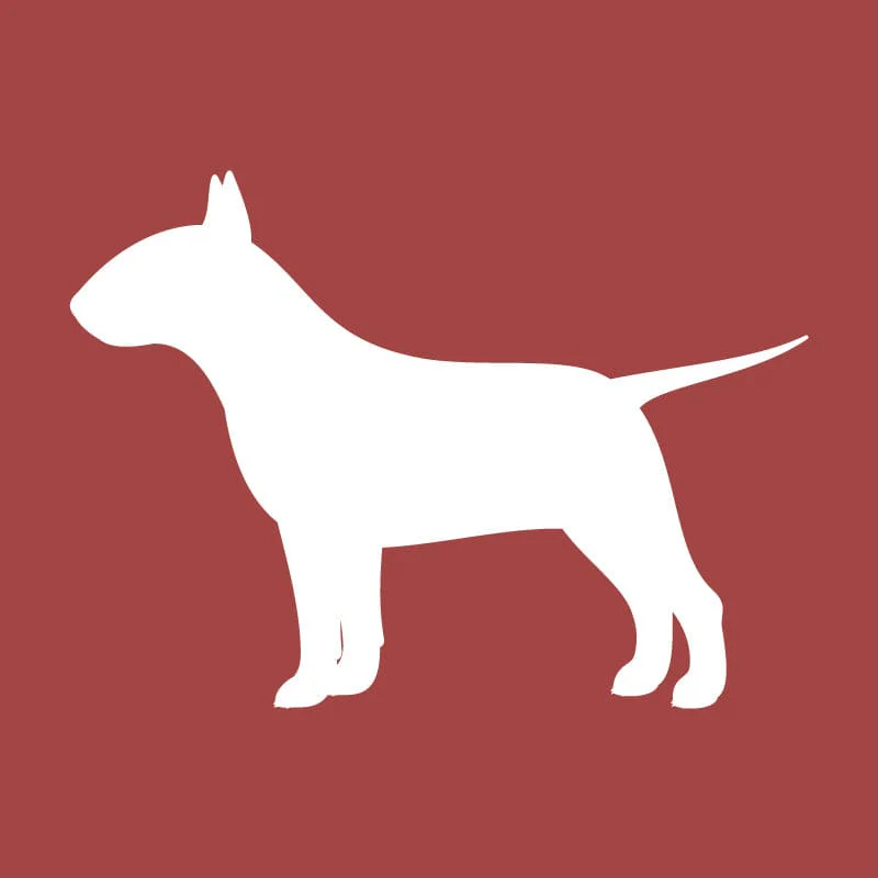 Bull Terrier Embroidered AKC Quarter Zip - Image 13