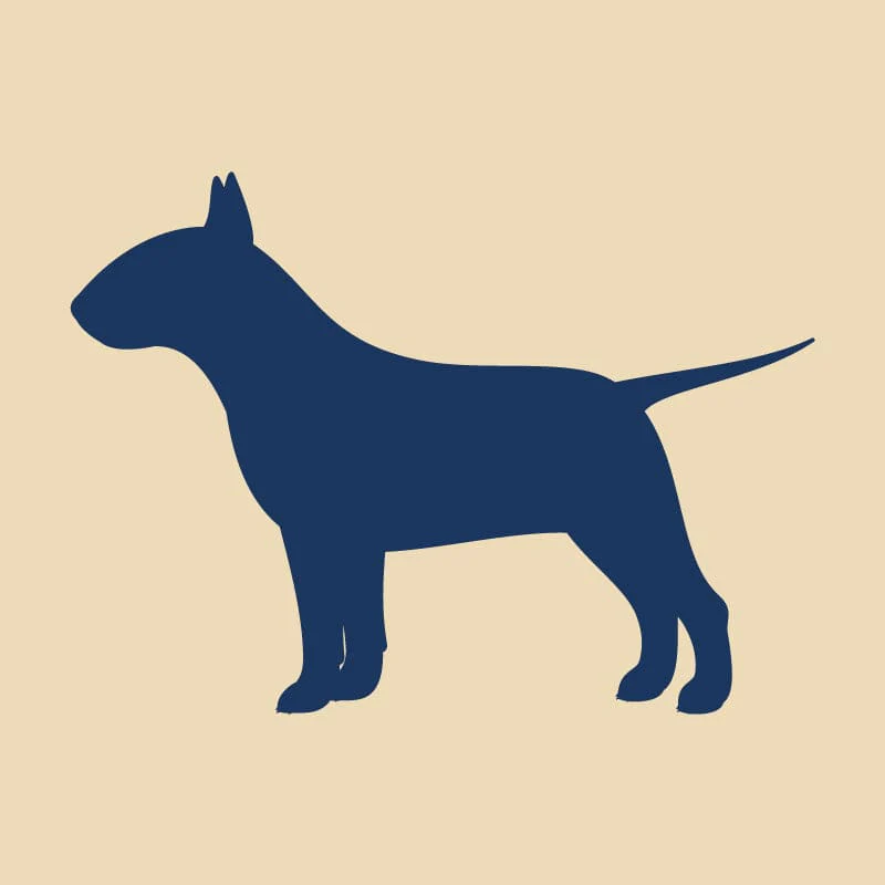 Bull Terrier Embroidered AKC Quarter Zip - Image 16