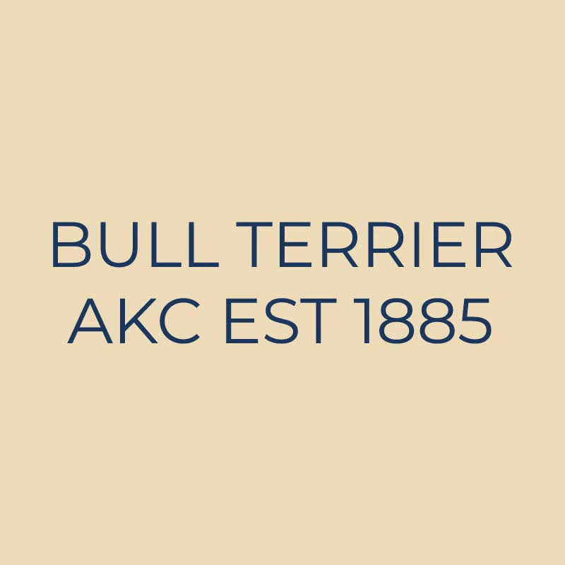 Bull Terrier Embroidered AKC Quarter Zip - Image 17