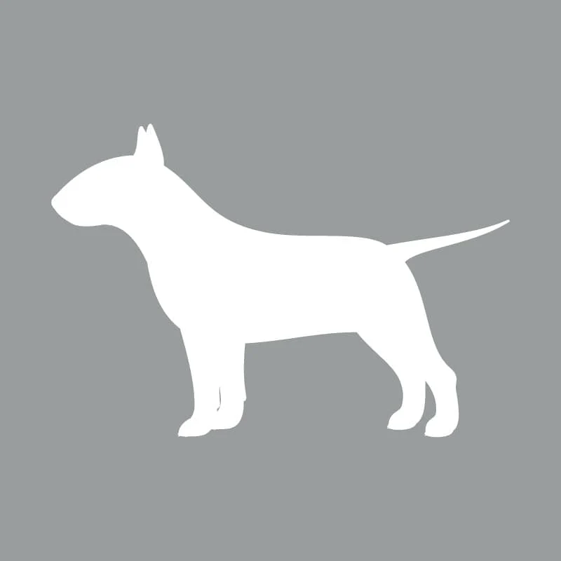 Bull Terrier - Beanie - Image 4