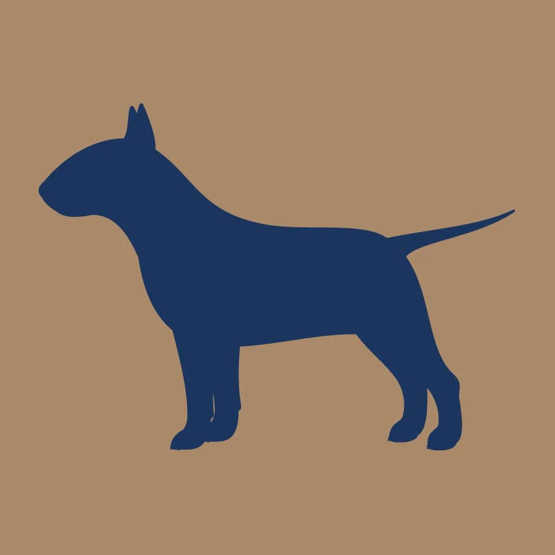 Bull Terrier AKC Embroidered Visor - Image 2