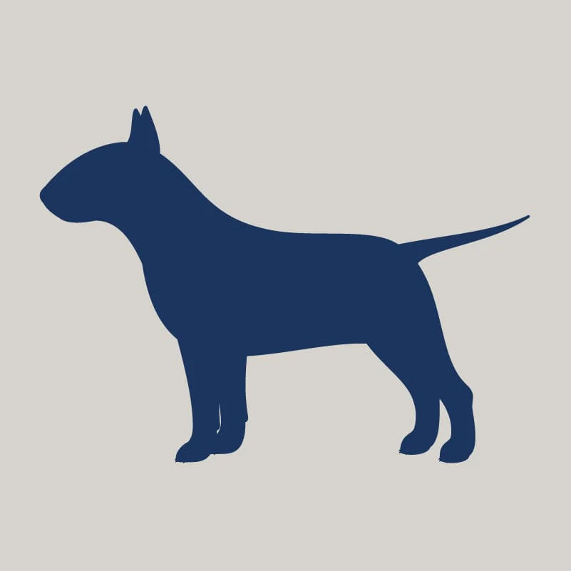 Bull Terrier AKC Embroidered Visor - Image 6
