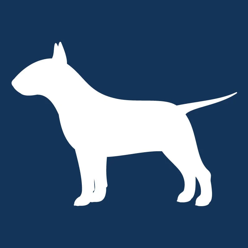 Bull Terrier AKC Embroidered Visor - Image 8