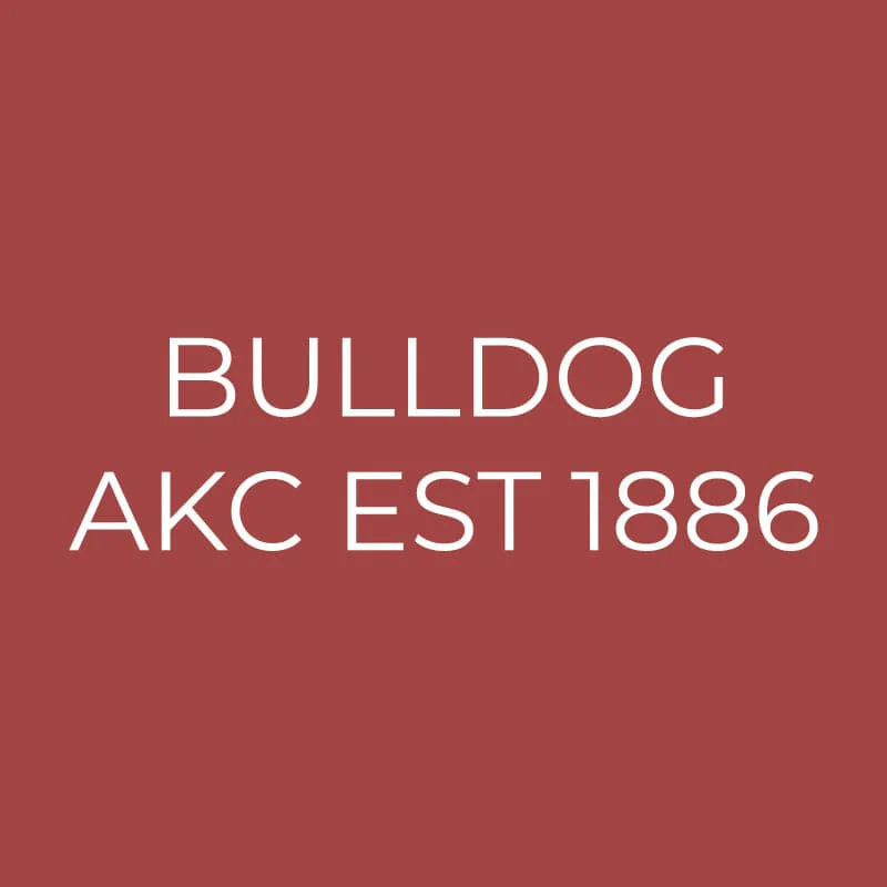 Bulldog Embroidered AKC Quarter Zip - Image 12