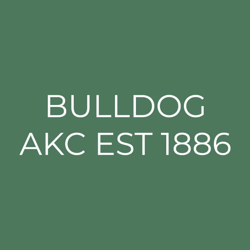 Bulldog Embroidered AKC Quarter Zip - Image 15