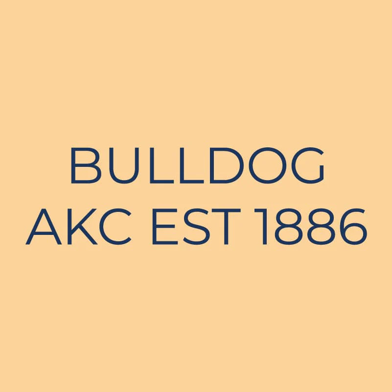 Bulldog Embroidered AKC Quarter Zip - Image 3