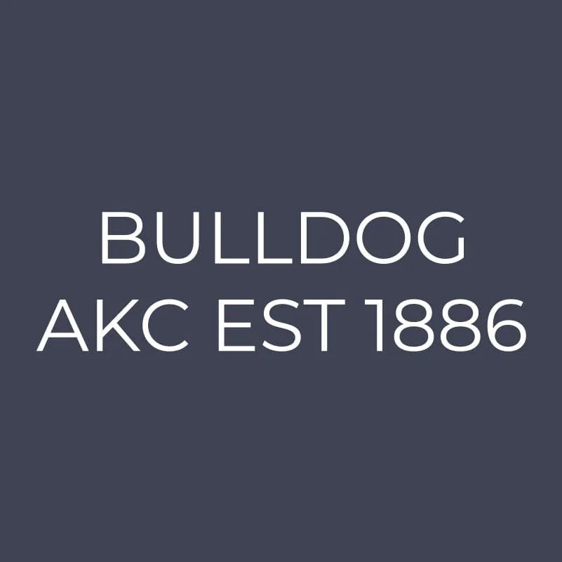 Bulldog Embroidered AKC Quarter Zip - Image 9