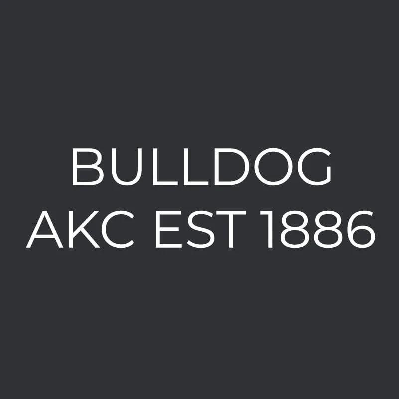 Bulldog Embroidered AKC Men's Polo - Image 3