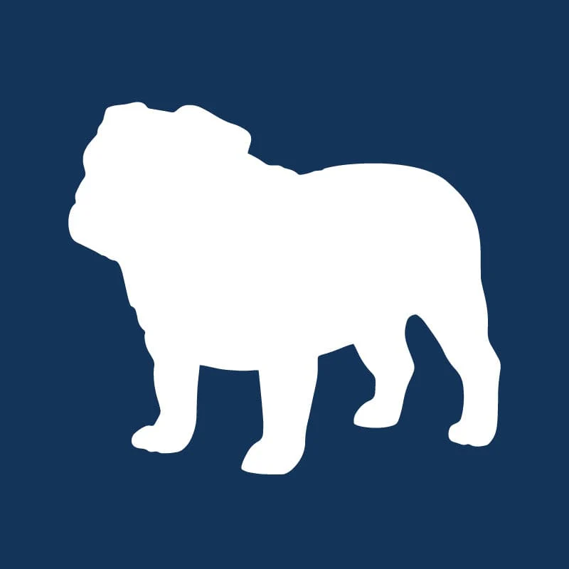 Bulldog AKC Embroidered Visor - Image 2
