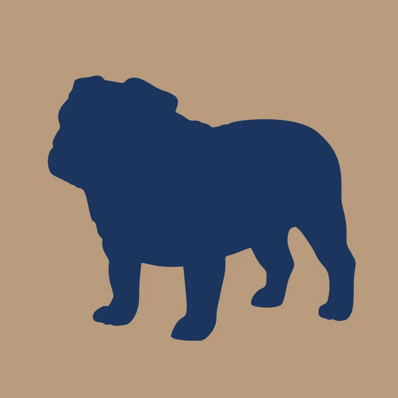 Bulldog AKC Embroidered Visor - Image 4