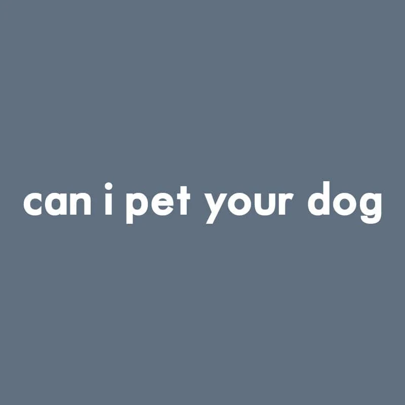 Can I Pet Your Dog - Embroidered Crewneck Sweatshirt - Image 2