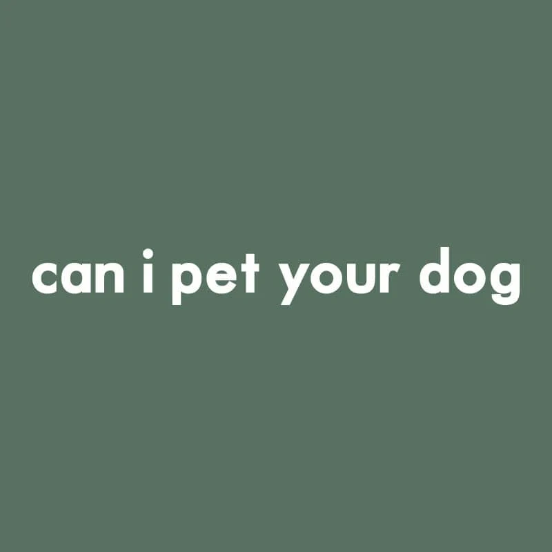 Can I Pet Your Dog - Embroidered Crewneck Sweatshirt - Image 4