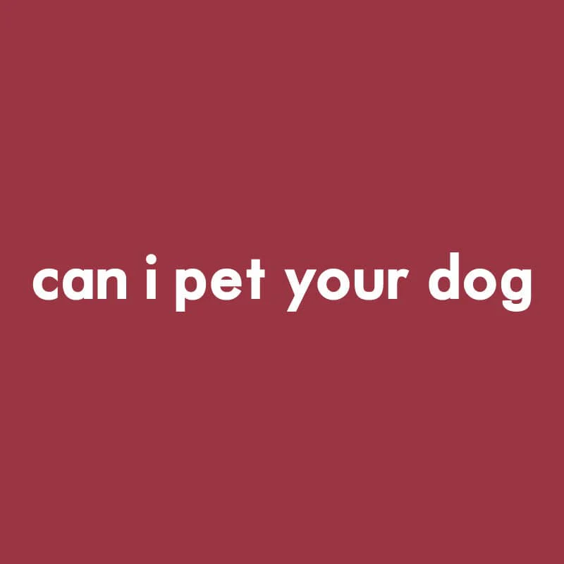 Can I Pet Your Dog - Embroidered Crewneck Sweatshirt - Image 6