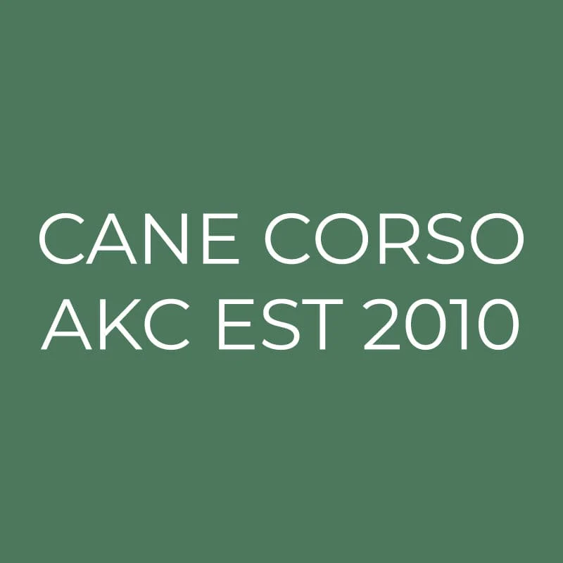 Cane Corso Embroidered AKC Quarter Zip - Image 12
