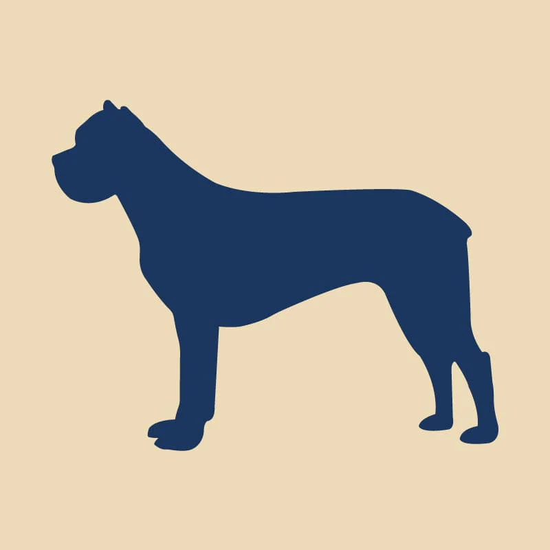 Cane Corso Embroidered AKC Quarter Zip - Image 14