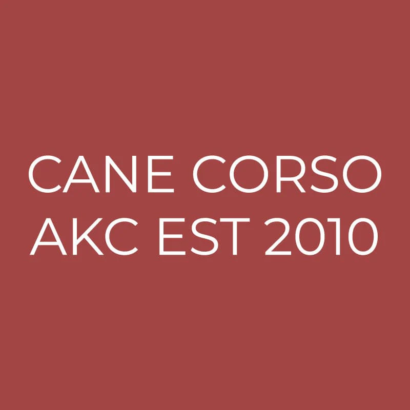 Cane Corso Embroidered AKC Quarter Zip - Image 18