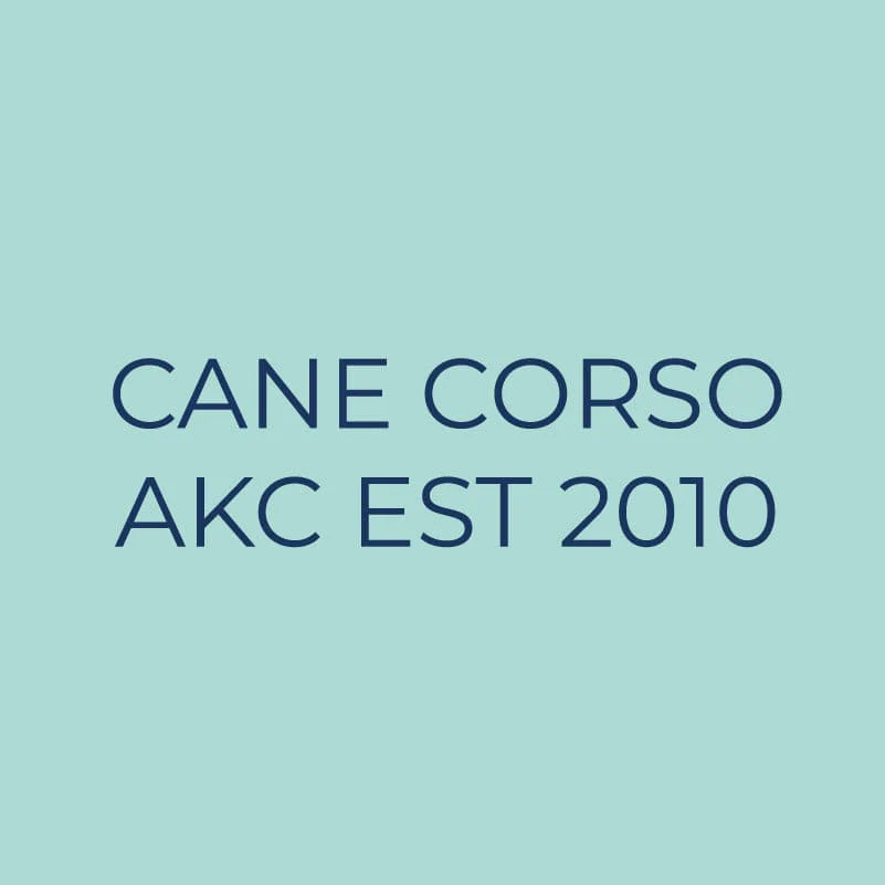 Cane Corso Embroidered AKC Quarter Zip - Image 6
