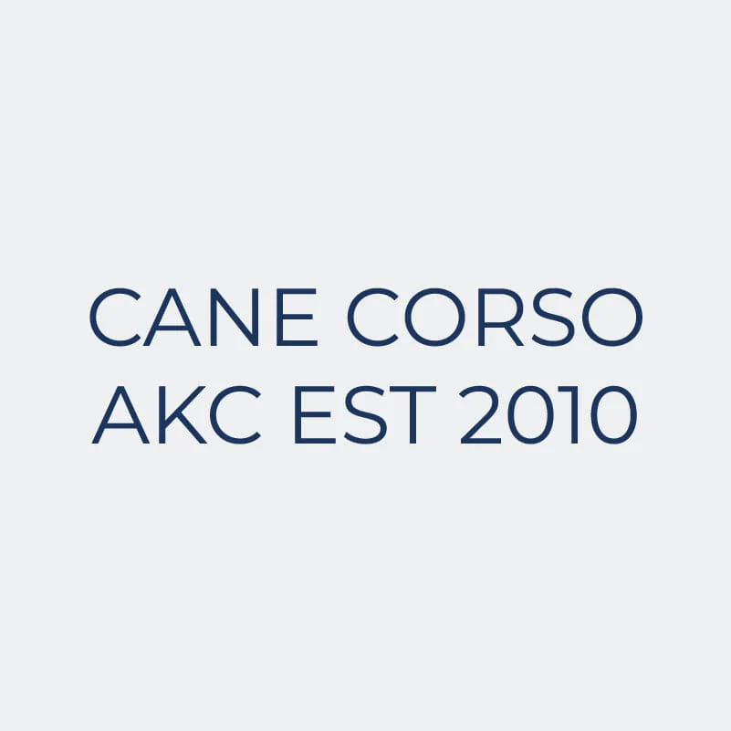 Cane Corso Embroidered AKC Women's Polo - Image 6