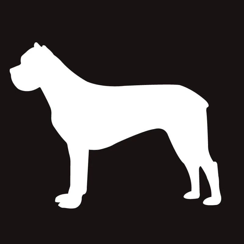 Cane Corso AKC Embroidered Visor - Image 2