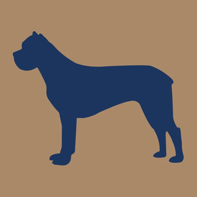 Cane Corso AKC Embroidered Visor - Image 4