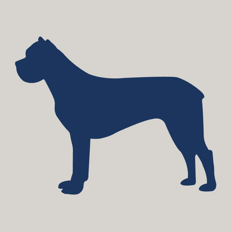 Cane Corso AKC Embroidered Visor - Image 6