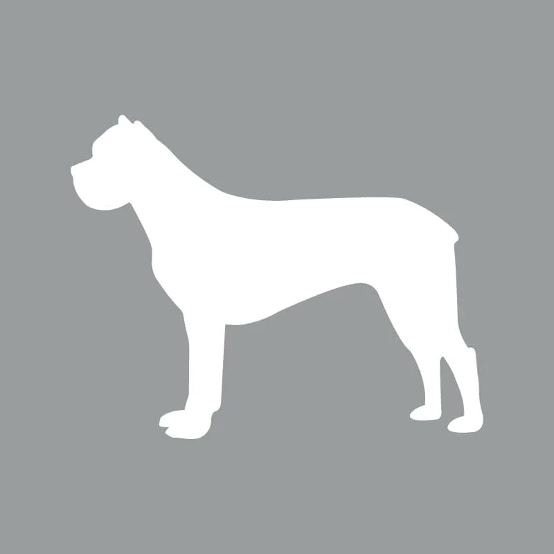 Cane Corso - Beanie - Image 6