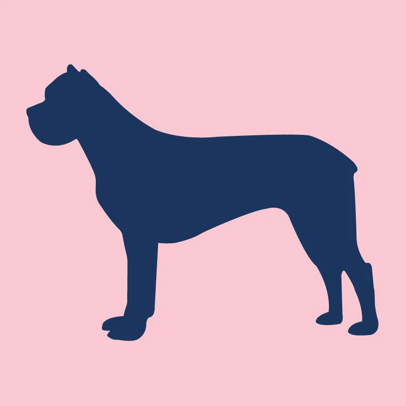 Cane Corso  - Infant Onesie - Image 2