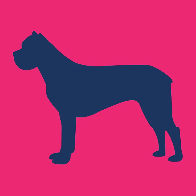 Cane Corso  - Infant Onesie - Image 4