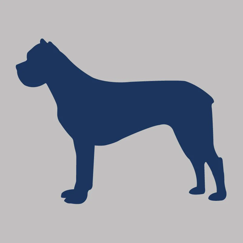 Cane Corso  - Infant Onesie - Image 6