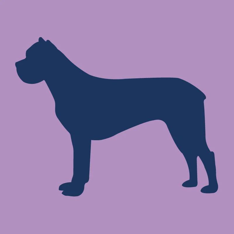 Cane Corso  - Infant Onesie - Image 8