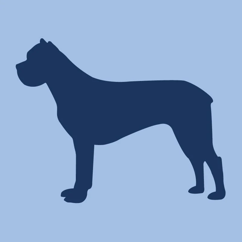 Cane Corso - Children's Full Zip Sweatshirt - Image 4