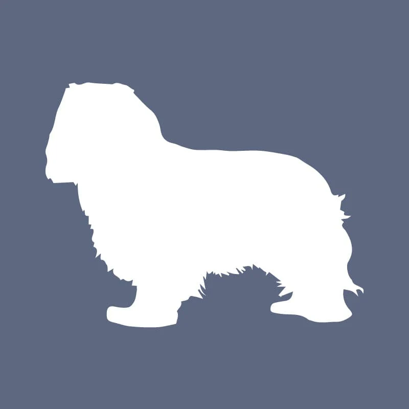 Cavalier King Charles Spaniel Beanie - Image 3