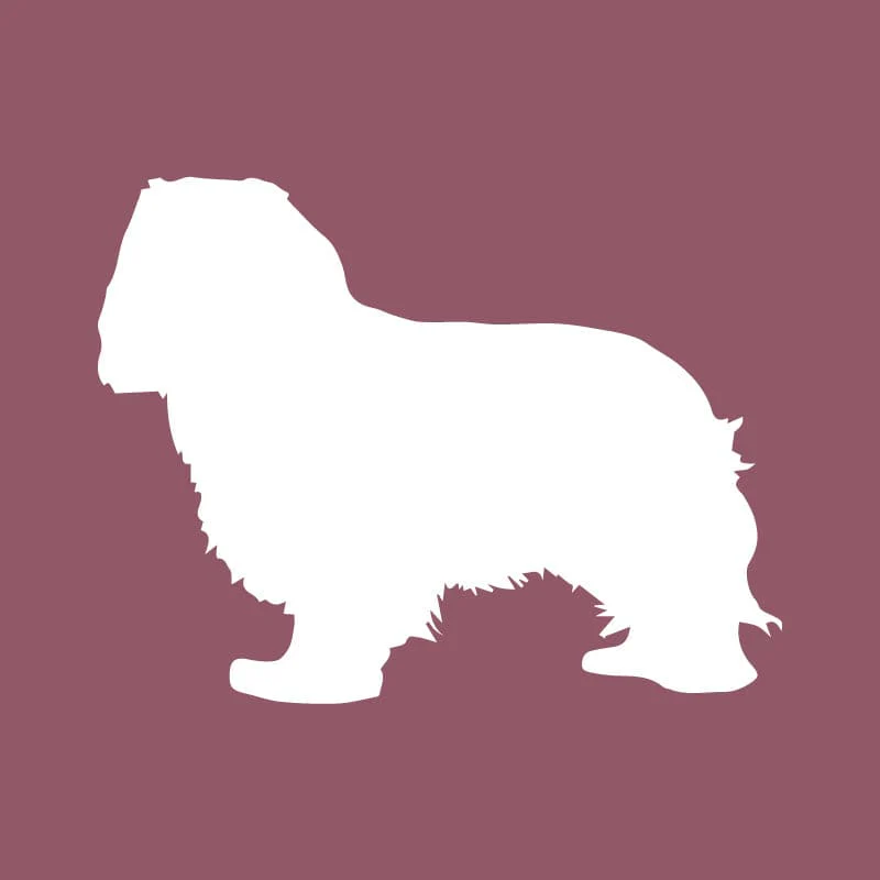 Cavalier King Charles Spaniel Beanie - Image 4