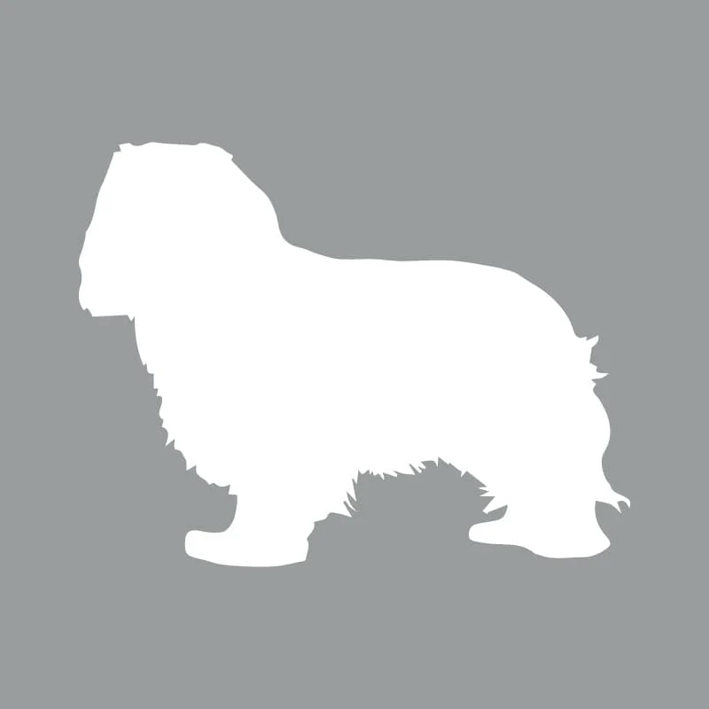 Cavalier King Charles Spaniel Beanie - Image 6