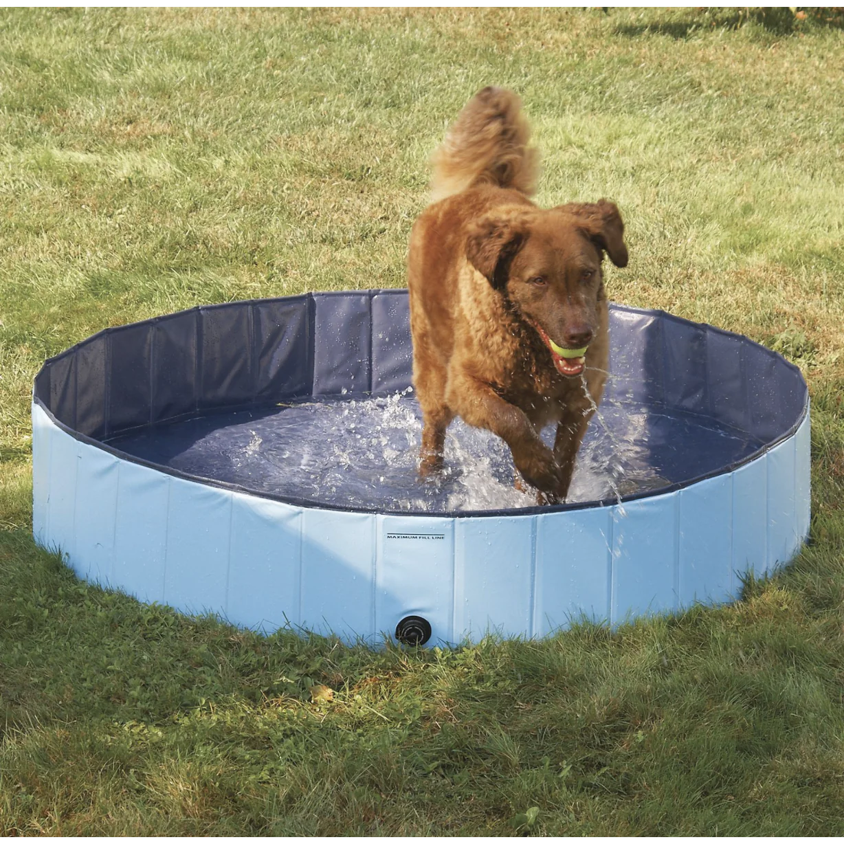 Cool Pup Splash About Dog Pool - Image 3