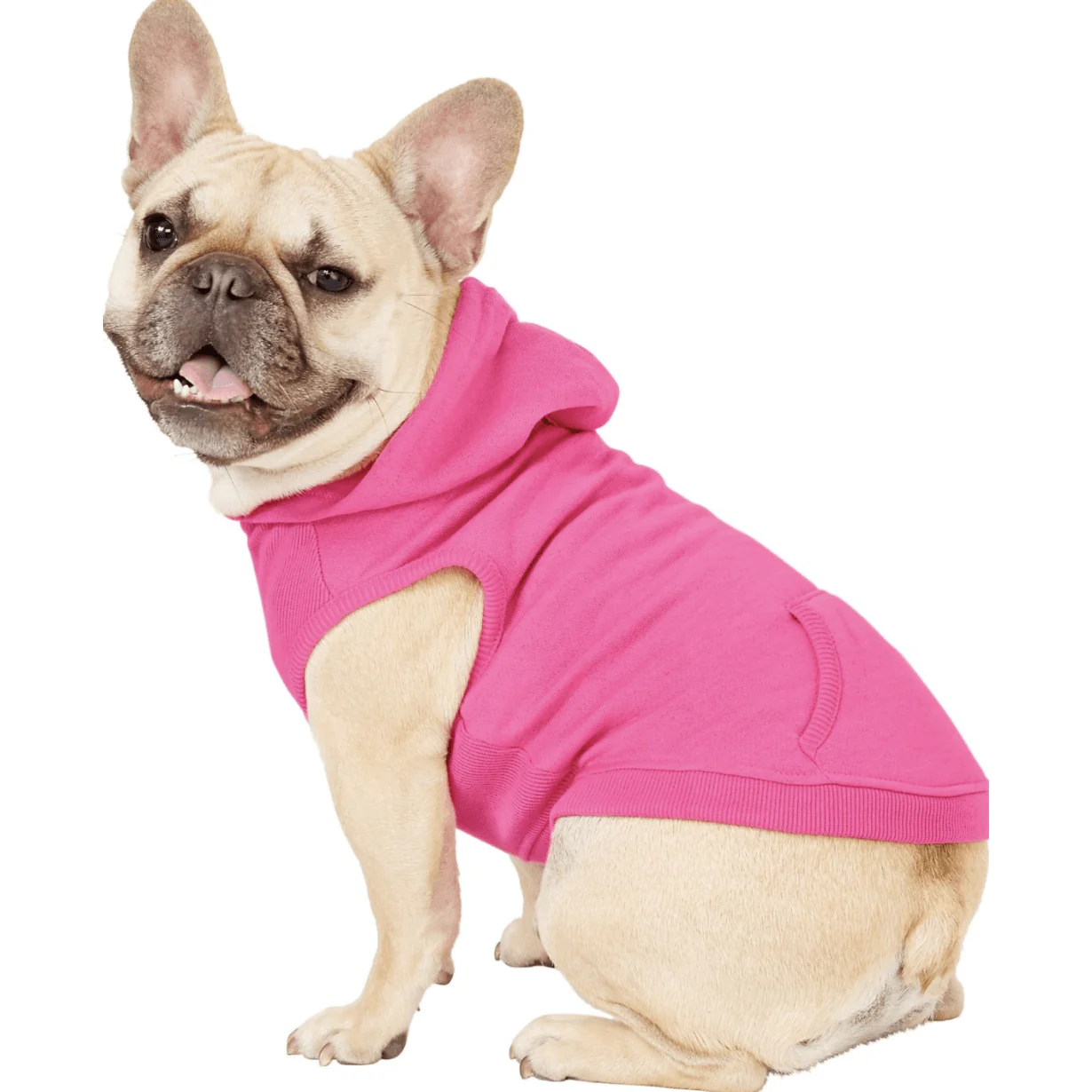 Frisco Dog Basic Hoodie - Image 6