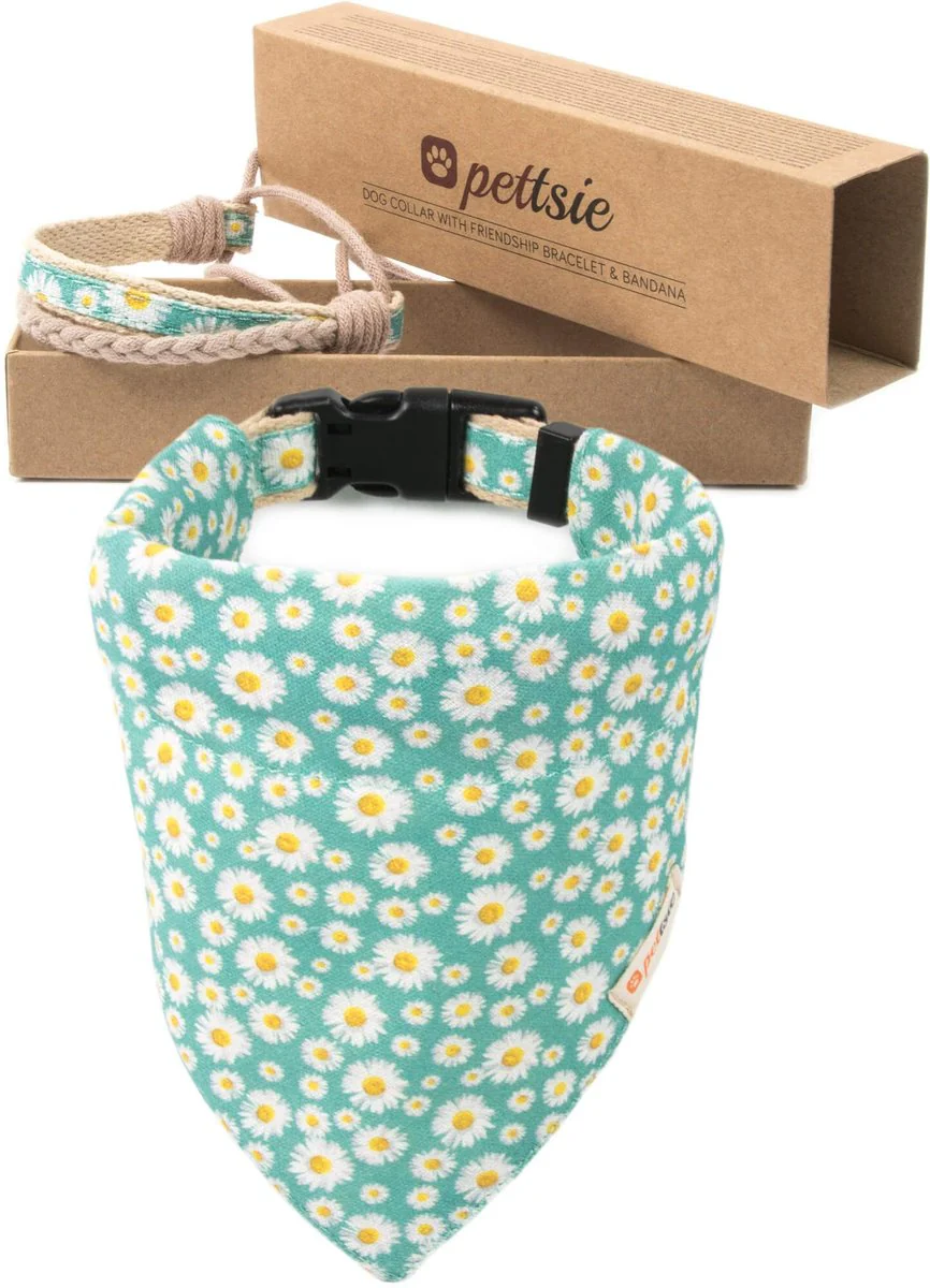 Pettsie Dog Collar Daisy & Bandana - Image 2
