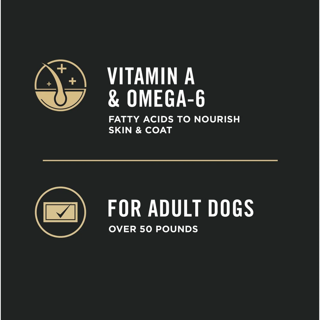 Purina Pro Plan Adult Large Breed Chicken & Rice Formula Dry Dog Food - Image 5