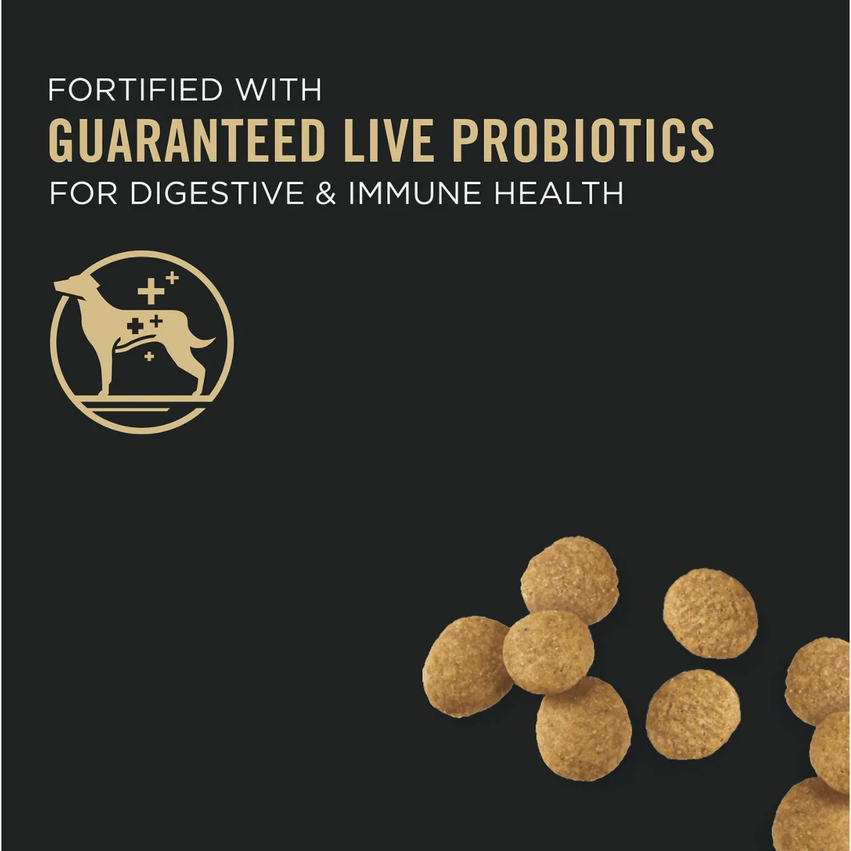 Purina Pro Plan Puppy Large Breed Chicken & Rice Formula with Probiotics Dry Dog Food - Image 3