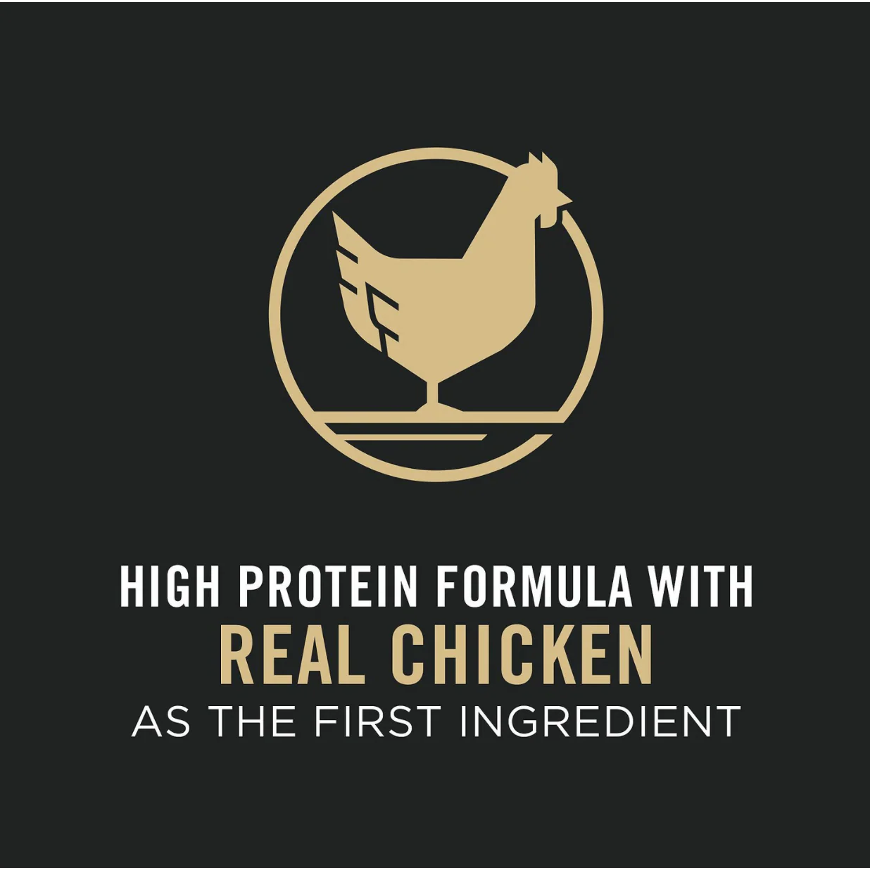 Purina Pro Plan Puppy Large Breed Chicken & Rice Formula with Probiotics Dry Dog Food - Image 4