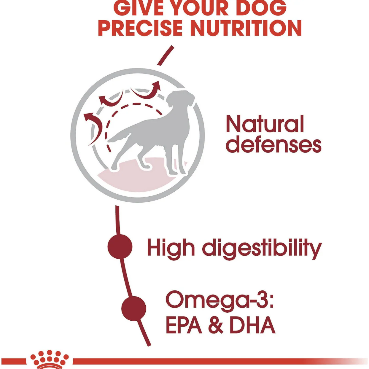 Royal Canin Size Health Nutrition Medium Adult Dry Dog Food - Image 3
