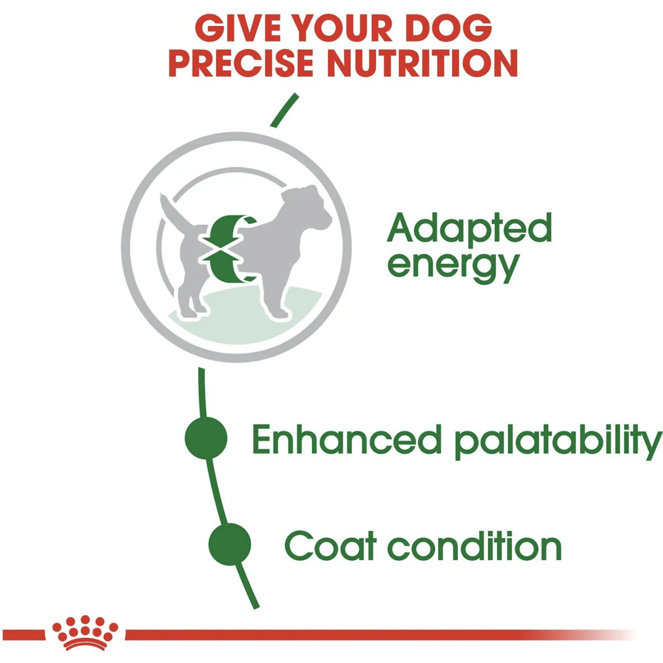 Royal Canin Size Health Nutrition Small Adult Formula Dog Dry Food - Image 3