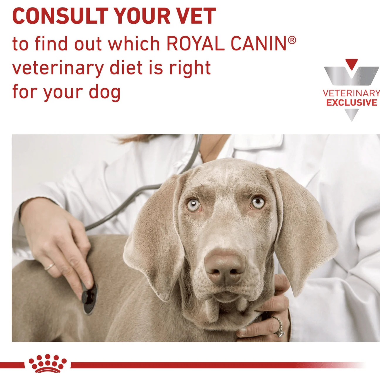 Royal Canin Veterinary Diet Satiety Support Dry Dog Food - Image 2